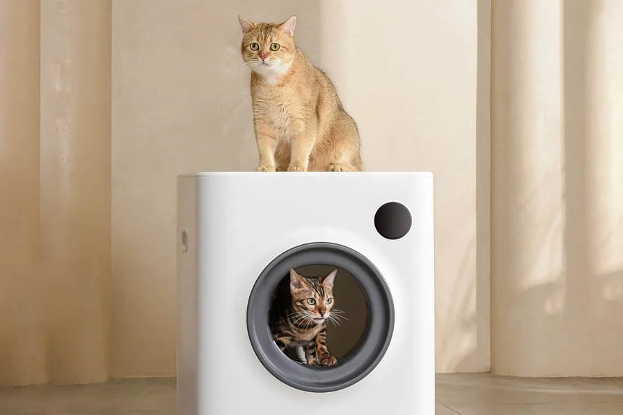 no odor litter box